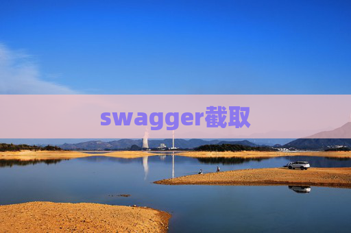 swagger截取